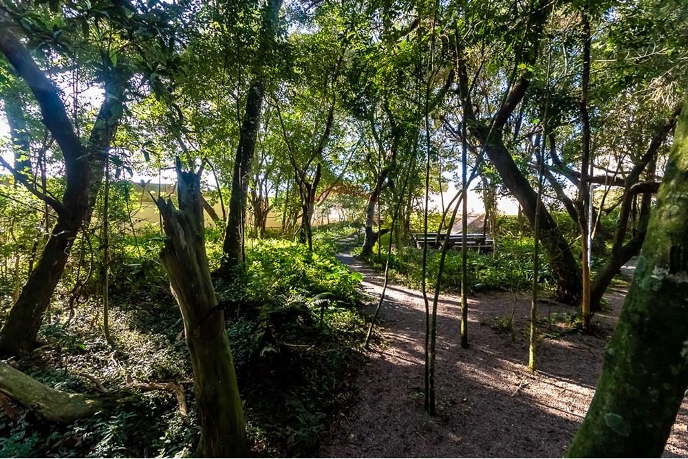 Apartamento - Venda - Curitiba , Paraná - ProfPedroVPdeSouza-78.jpg - 560311047-425