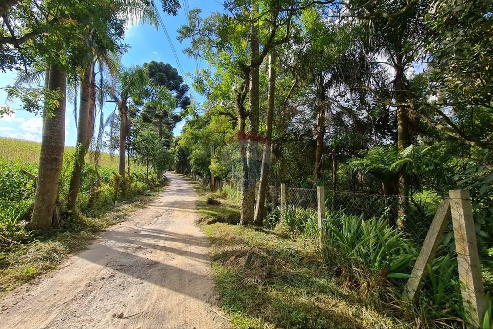 Galpão - Venda - São José dos Pinhais , Paraná - 53c9b73c-7e10-4d7f-9e90-f2cd3c7a5cd5.jpeg - 560331128-20