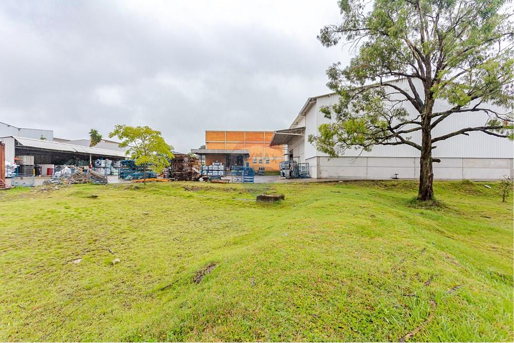 Galpão - Alugar - Curitiba , Paraná - IMG_2224.jpg - 560251029-57