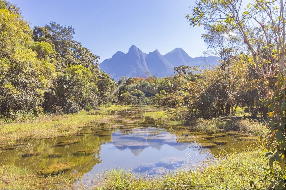 Chácara / Sítio / Fazenda - Venda - Antonina , Paraná - IMG_4875.jpg - 560411008-83