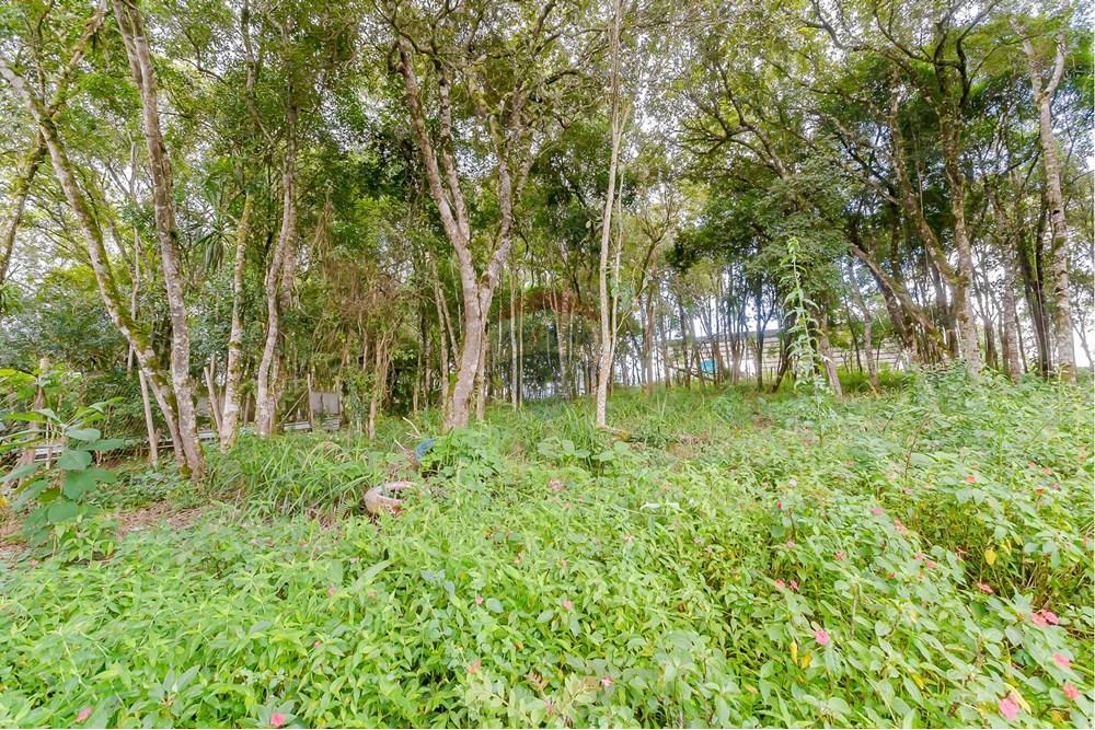 Terreno - Venda - Colombo , Paraná - _MG_7368.jpg - 560391062-13