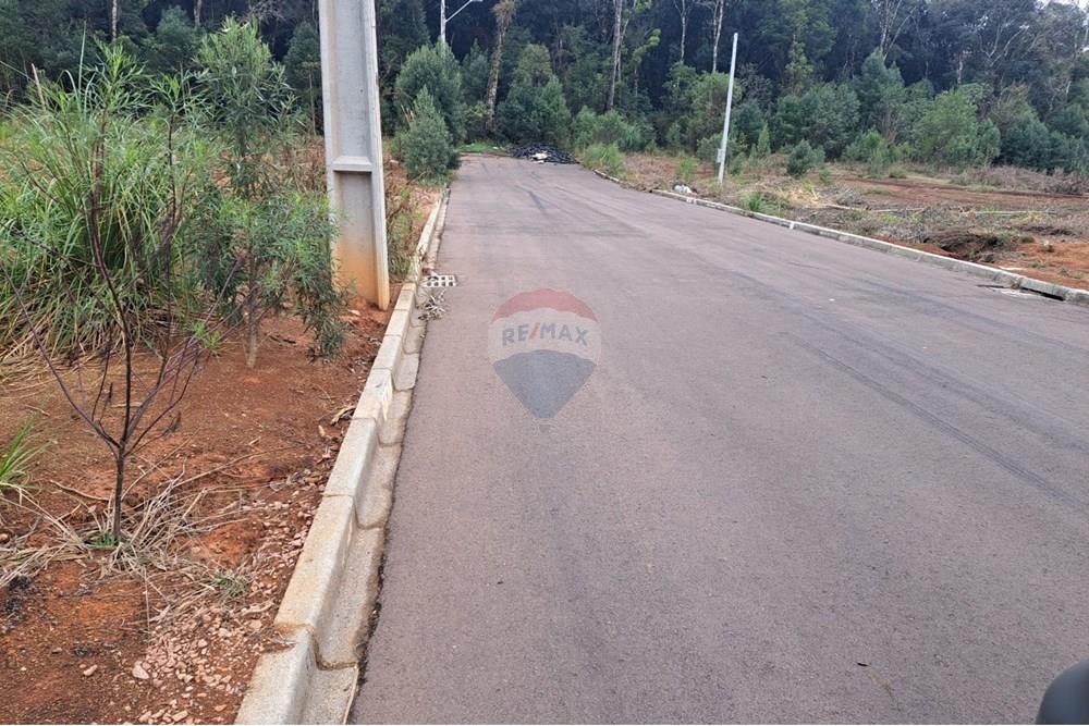 Terreno - Venda - Fazenda Rio Grande , Paraná - WhatsApp Image 2025-08-29 at 19.18.46.jpeg - 560441032-9