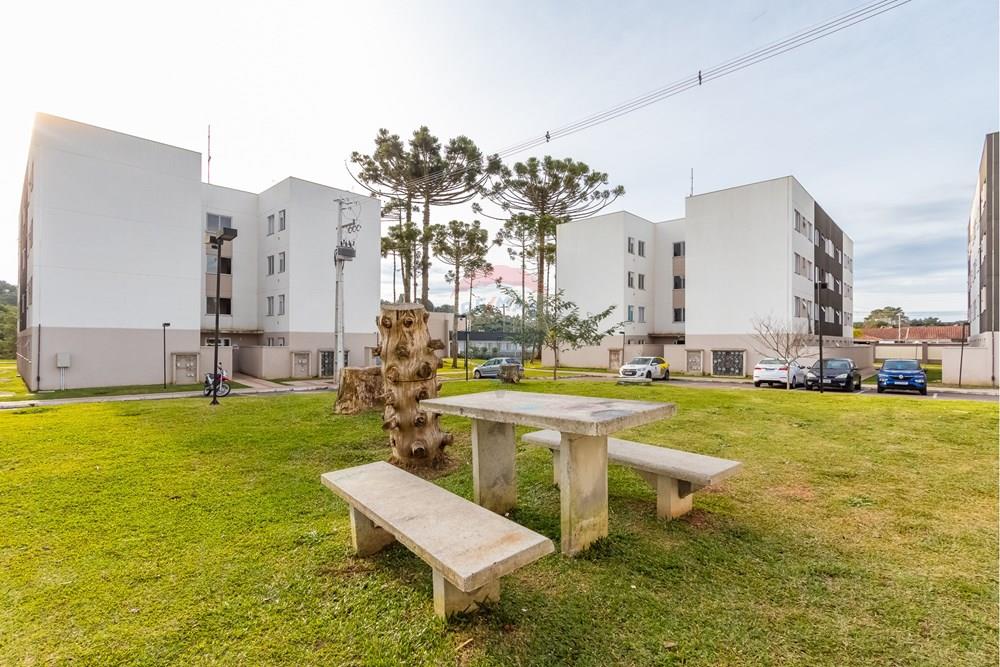 Apartamento - Venda - Campo Largo , Paraná - IMG_7126.jpg - 560311080-4