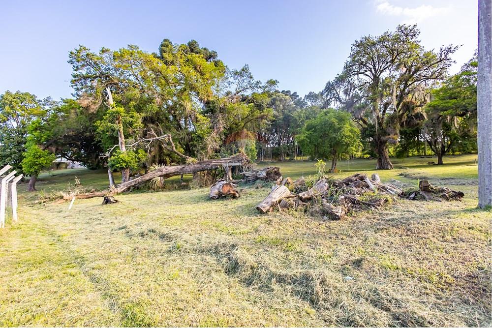 Terreno - Venda - Colombo , Paraná - IMG_9252.jpg - 560321090-43