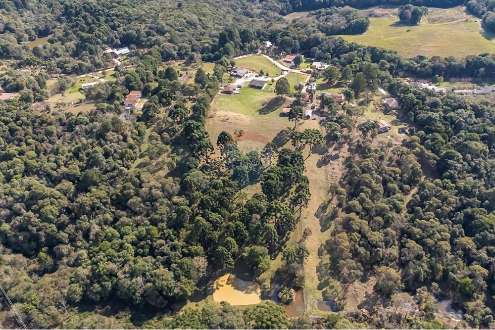 Chácara / Sítio / Fazenda - Venda - Campo Largo , Paraná - F (22).jpg - 560351150-1