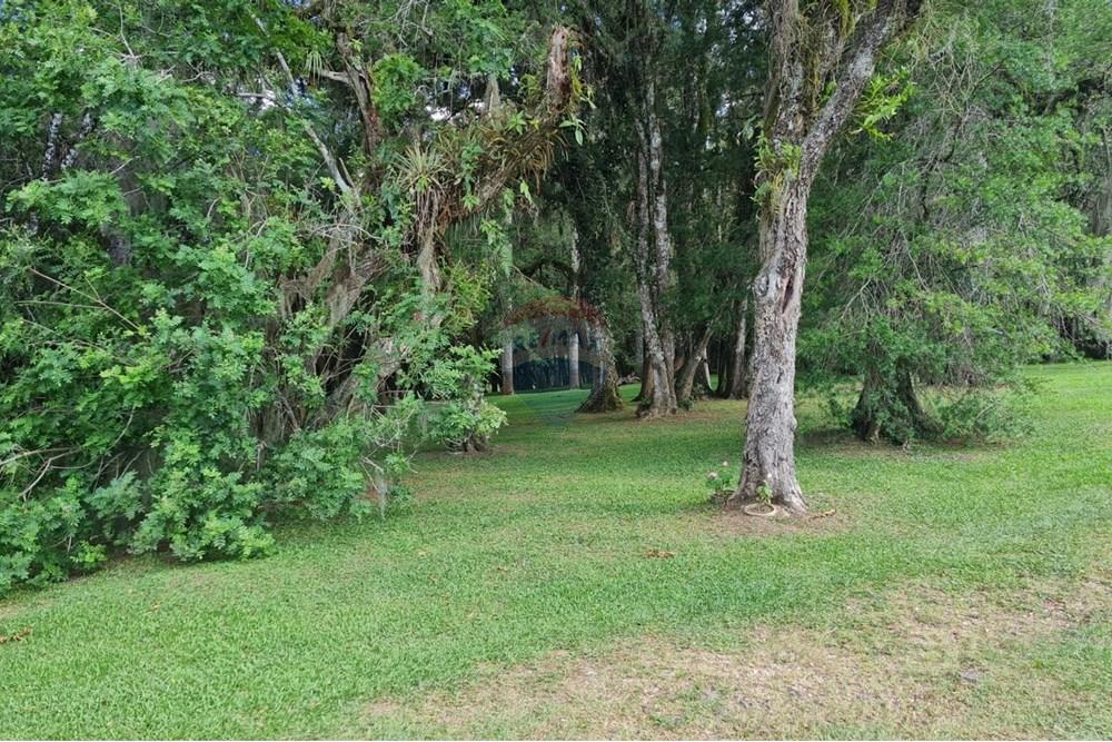 Casa Comercial - Alugar - São José dos Pinhais , Paraná - c2722c0b-3f40-4ad2-b2be-c68e5f68c322.jpeg - 560331128-18