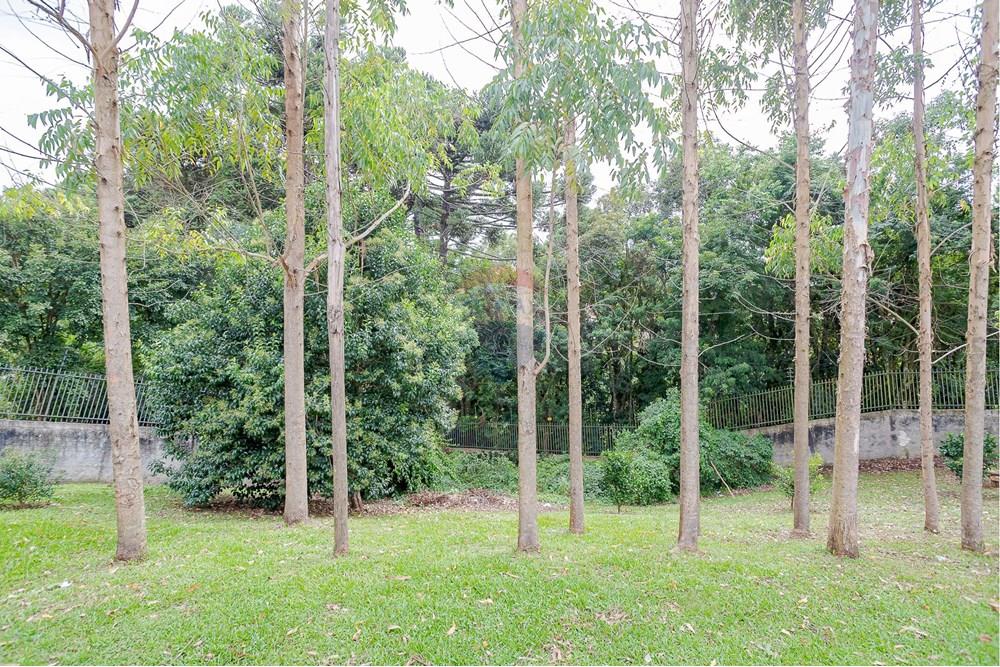 Apartamento - Venda - São José dos Pinhais , Paraná - IMG_0323.jpg - 560471003-11