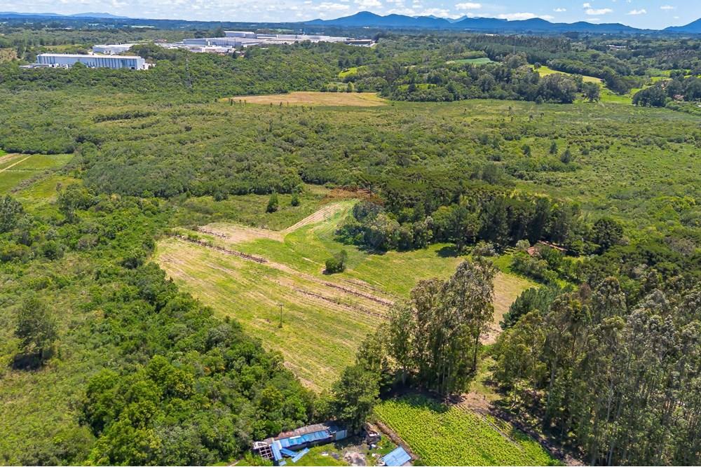 Chácara / Sítio / Fazenda - Venda - São José dos Pinhais , Paraná - DJI_0439_1.jpg - 560331128-24