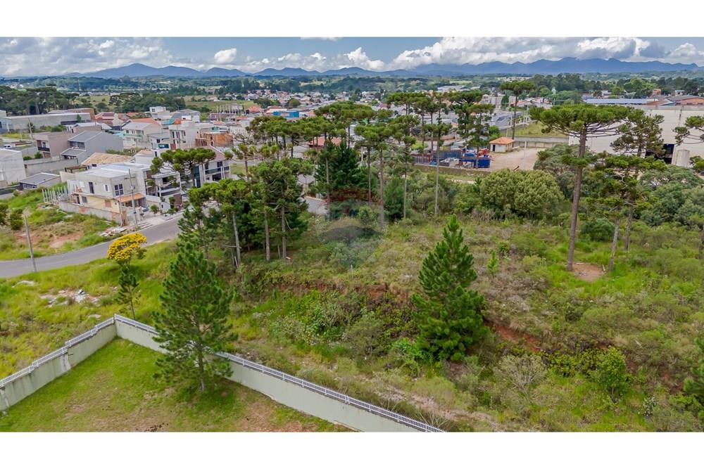 Terreno - Venda - São José dos Pinhais , Paraná - DJI_20250227132937_0568_D.jpg - 560351069-35