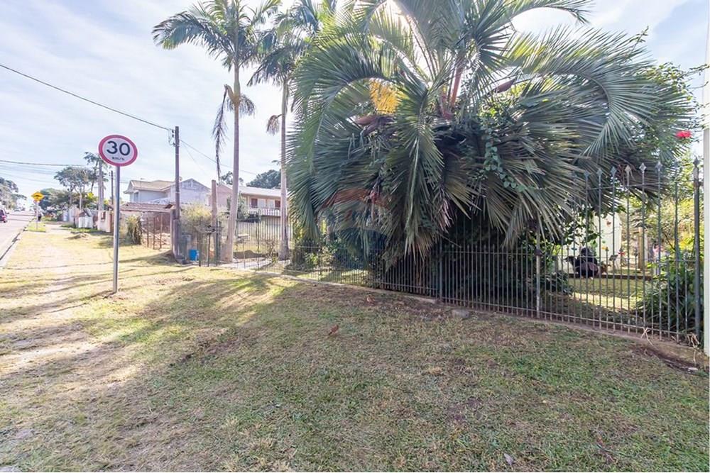 Terreno - Venda - Curitiba , Paraná - FOTOS TERRENO JÚNIOR.jpeg - 560441003-37