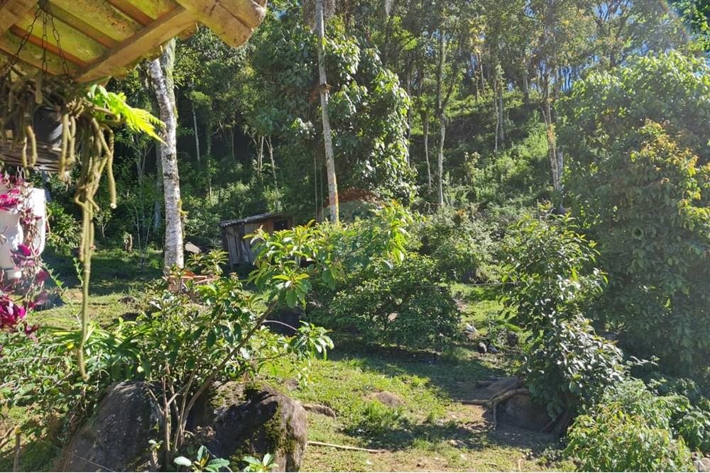 Chácara / Sítio / Fazenda - Venda - Tijucas do Sul , Paraná - 8777c955-f20c-4b30-a61b-595466987430.jpeg - 560391051-20