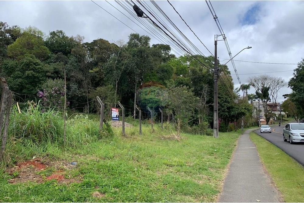 Terreno - Venda - Curitiba , Paraná - 9.jpg - 560461019-13