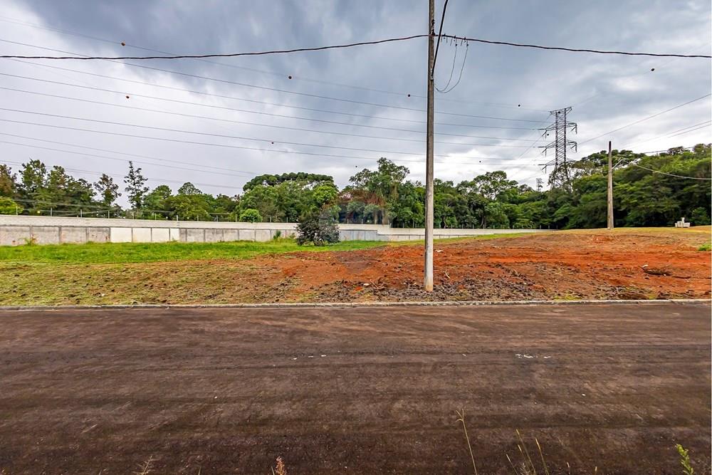 Terreno - Venda - Curitiba , Paraná - sheep - IMG_2563_1.jpg - 560341101-21