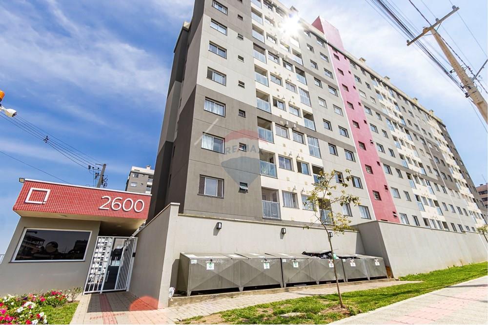 Apartamento - Alugar - São José dos Pinhais , Paraná - IMG_5485_1.jpg - 560411051-204