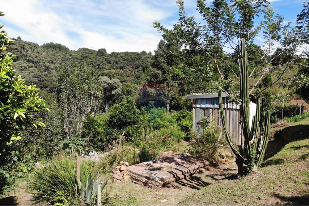 Chácara / Sítio / Fazenda - Venda - Campo Magro , Paraná - WhatsApp Image 2025-04-09 at 19.11.29 (1).jpeg - 560351106-18