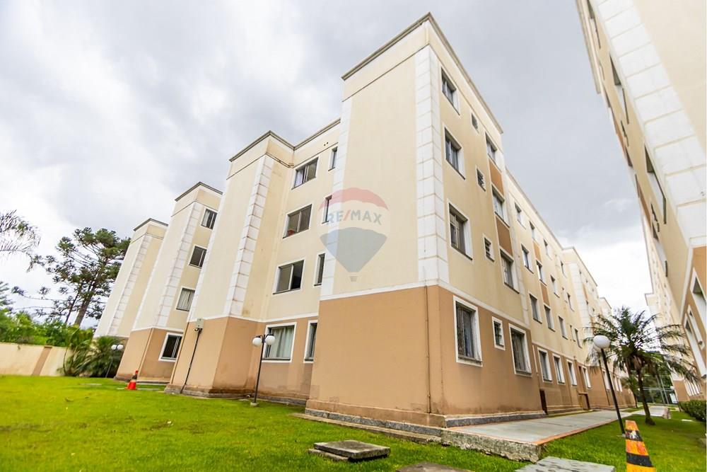 Apartamento - Venda - São José dos Pinhais , Paraná - Fotografia Sheep House - IMG_0245 (1).jpg - 560481004-32