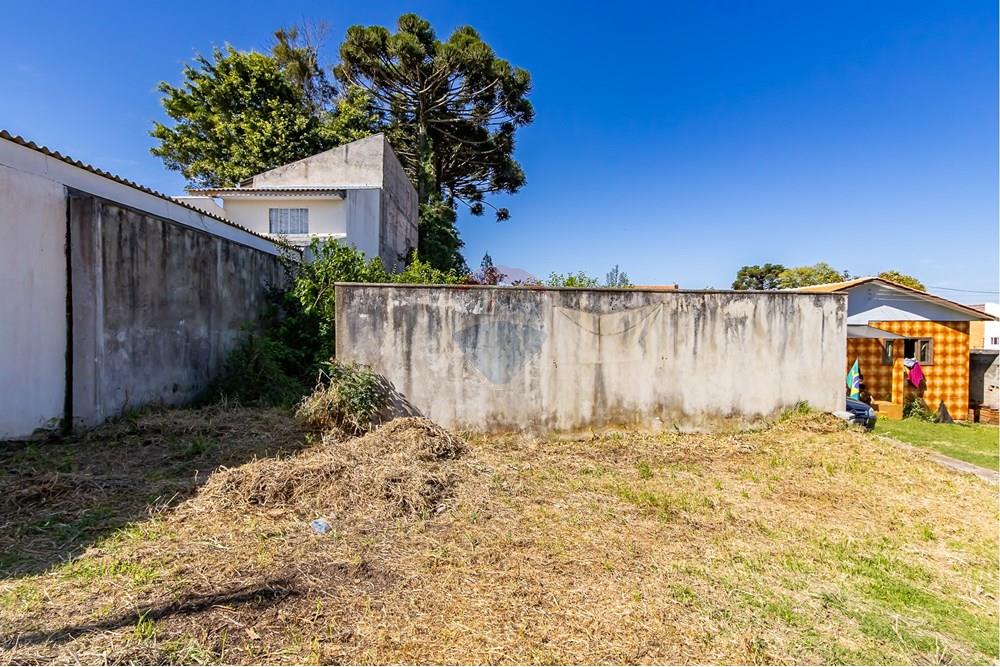 Terreno - Venda - Curitiba , Paraná - IMG_7342.jpg - 560341040-21