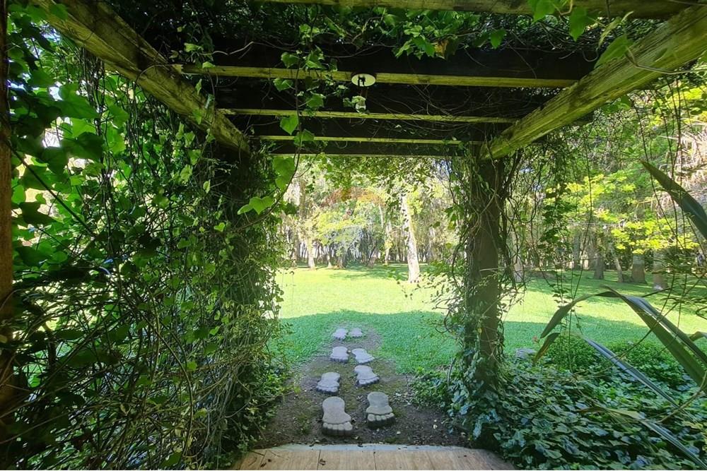 Casa Comercial - Alugar - São José dos Pinhais , Paraná - 8e3cb423-b586-403d-8a00-eb3300cdba2c.jpeg - 560331128-18