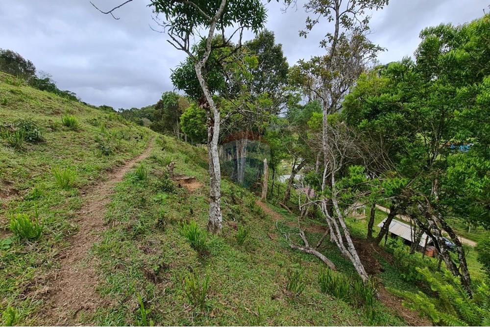 Chácara / Sítio / Fazenda - Venda - Tijucas do Sul , Paraná - af1ec568-0f51-4b4c-b27a-45d1eb5d34db.jpeg - 560391051-16