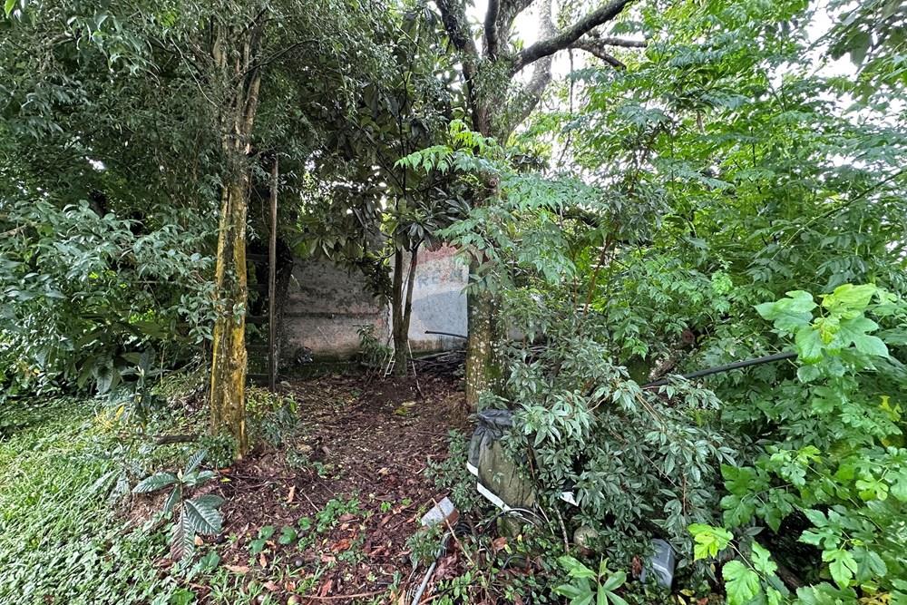 Casa - Venda - São José dos Pinhais , Paraná - IMG_3426.JPG - 560251041-62