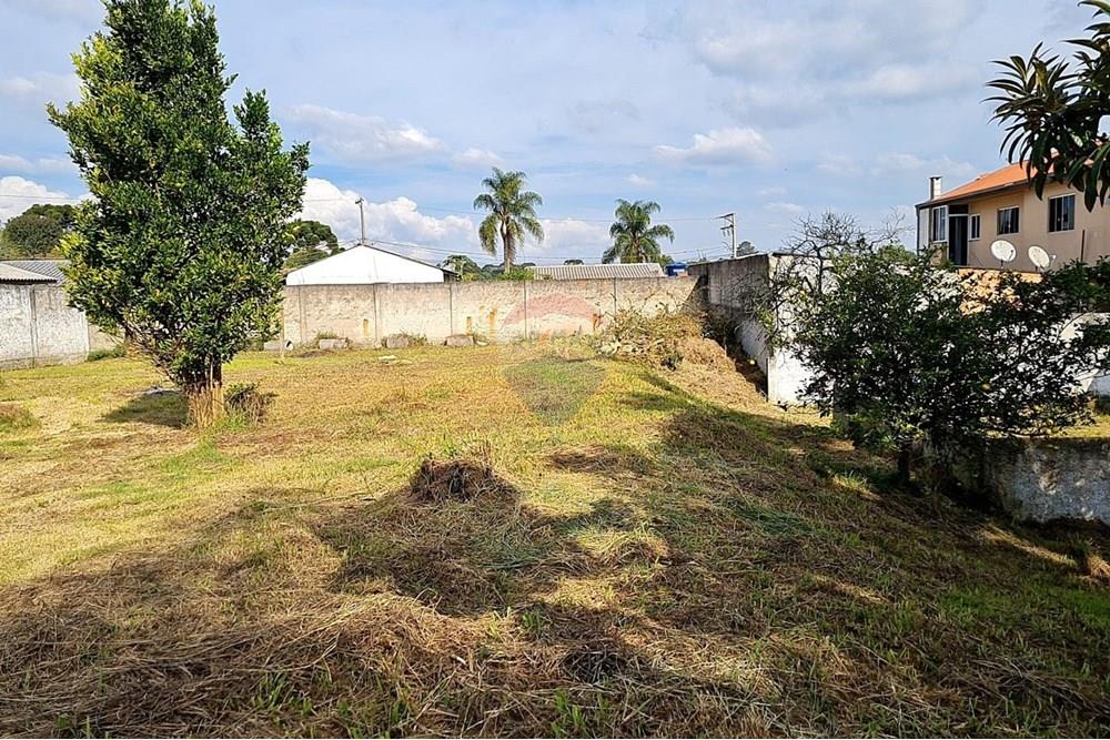 Terreno - Venda - São José dos Pinhais , Paraná - d9fdb9d0-c6ba-484c-9823-ebde7483efc3.jpeg - 560391051-19