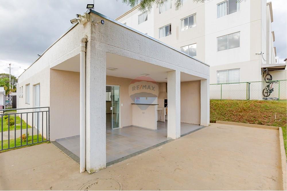 Apartamento - Venda - São José dos Pinhais , Paraná - IMG_2782.jpg - 560351119-12