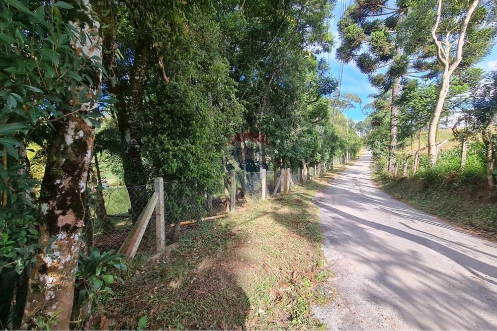 Galpão - Venda - São José dos Pinhais , Paraná - 3161c48c-5824-4f12-b17d-7aac3b8119d5.jpeg - 560331128-20