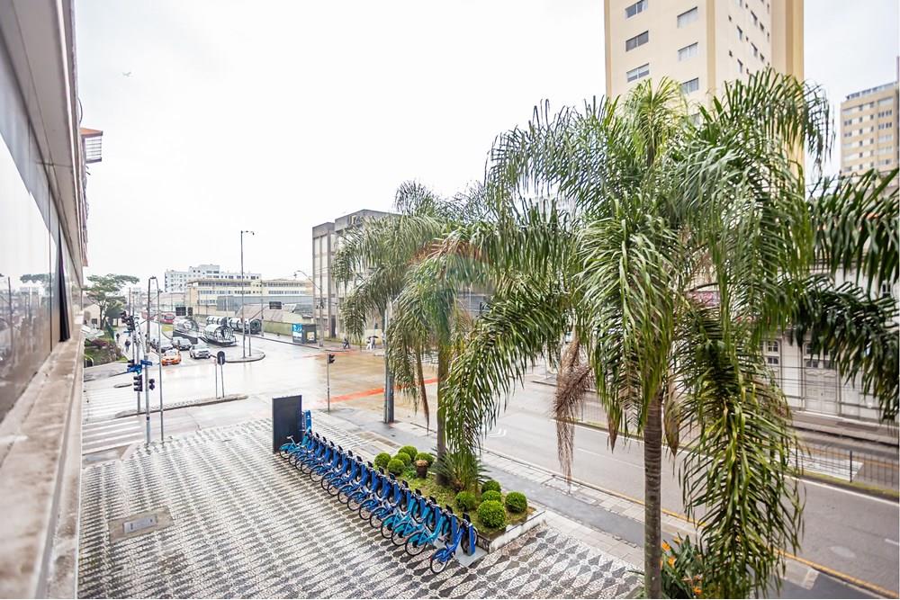 Turunduslik - Äripind - Curitiba , Paraná - BR - _MG_2286.jpg - 560351125-43