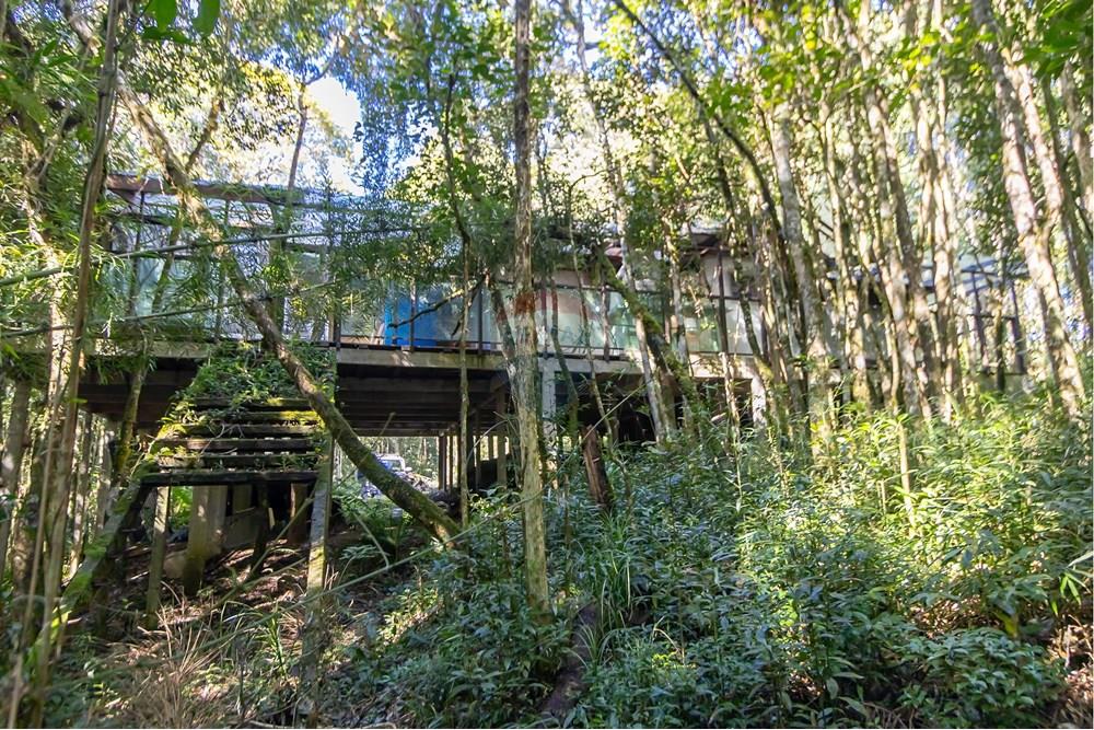 Chácara / Sítio / Fazenda - Venda - Piraquara , Paraná - IMG_3636.jpg - 560431012-39