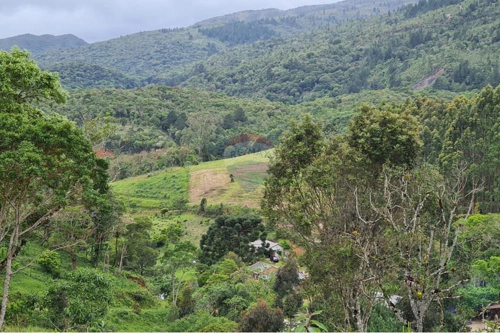 Chácara / Sítio / Fazenda - Venda - Tijucas do Sul , Paraná - 6790a21d-cd4b-411e-8382-5c05f5e4bf59.jpeg - 560391051-16