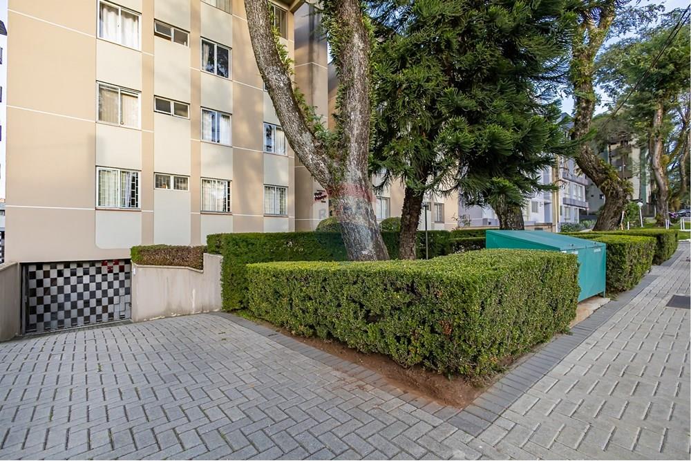 Apartamento - Venda - Curitiba , Paraná - IMG_3813.jpg - 560471002-31