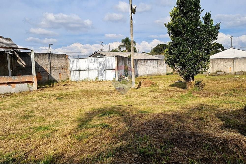 Terreno - Venda - São José dos Pinhais , Paraná - 5faf024c-1d7e-4cd6-93aa-5236ddb81bc0.jpeg - 560391051-19