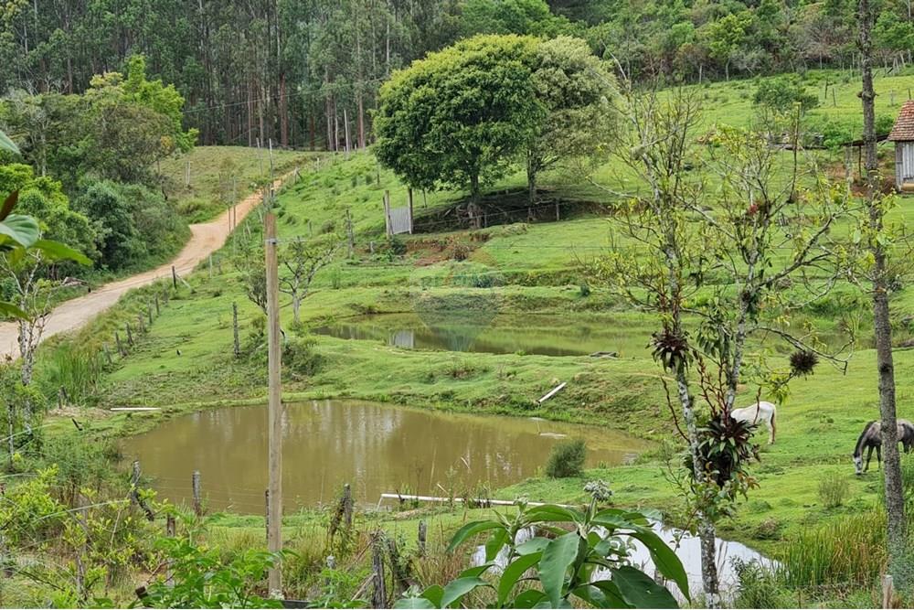 Chácara / Sítio / Fazenda - Venda - Tijucas do Sul , Paraná - a4377580-70c3-4b9d-8843-ca37f3377a2c.jpeg - 560391051-16