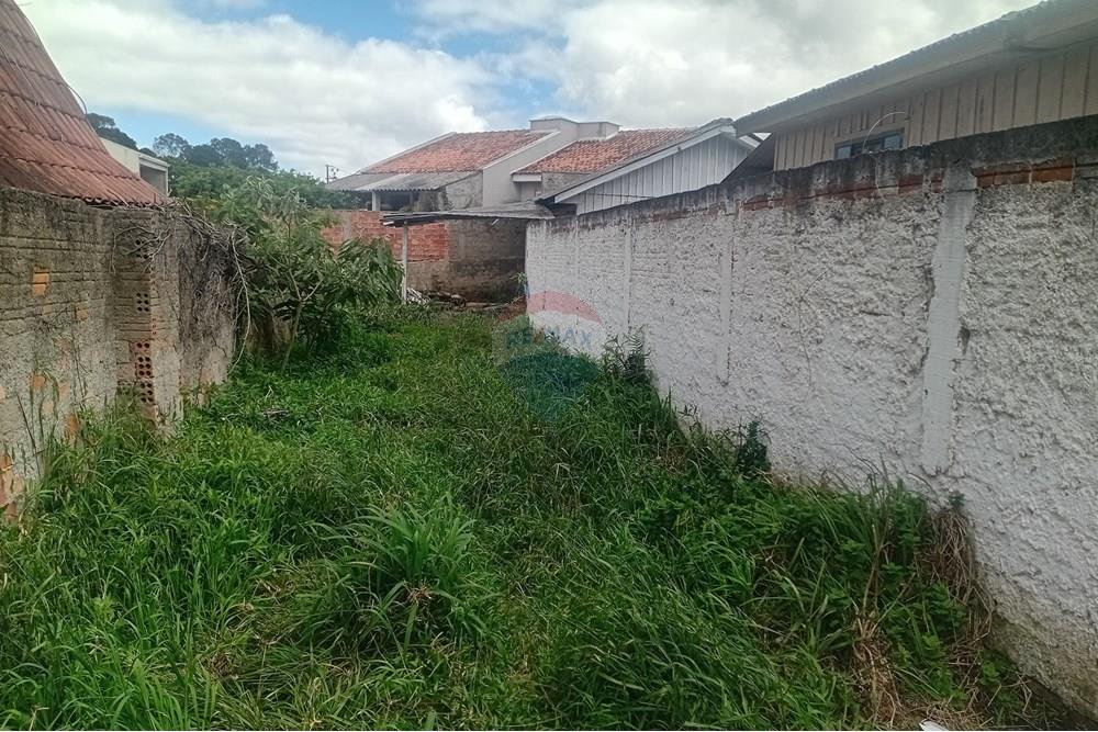 Terreno - Venda - São José dos Pinhais , Paraná - 20251022_125020.jpg - 560441007-15