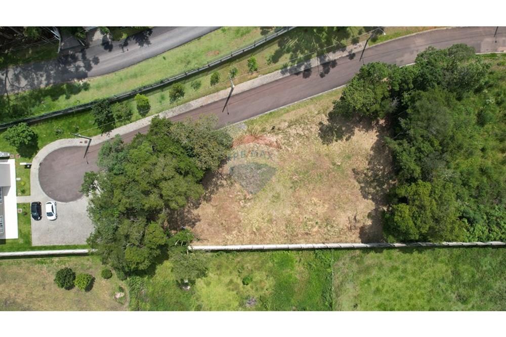 Terreno - Venda - Curitiba , Paraná - FOTO 4.jpg - 560341101-20