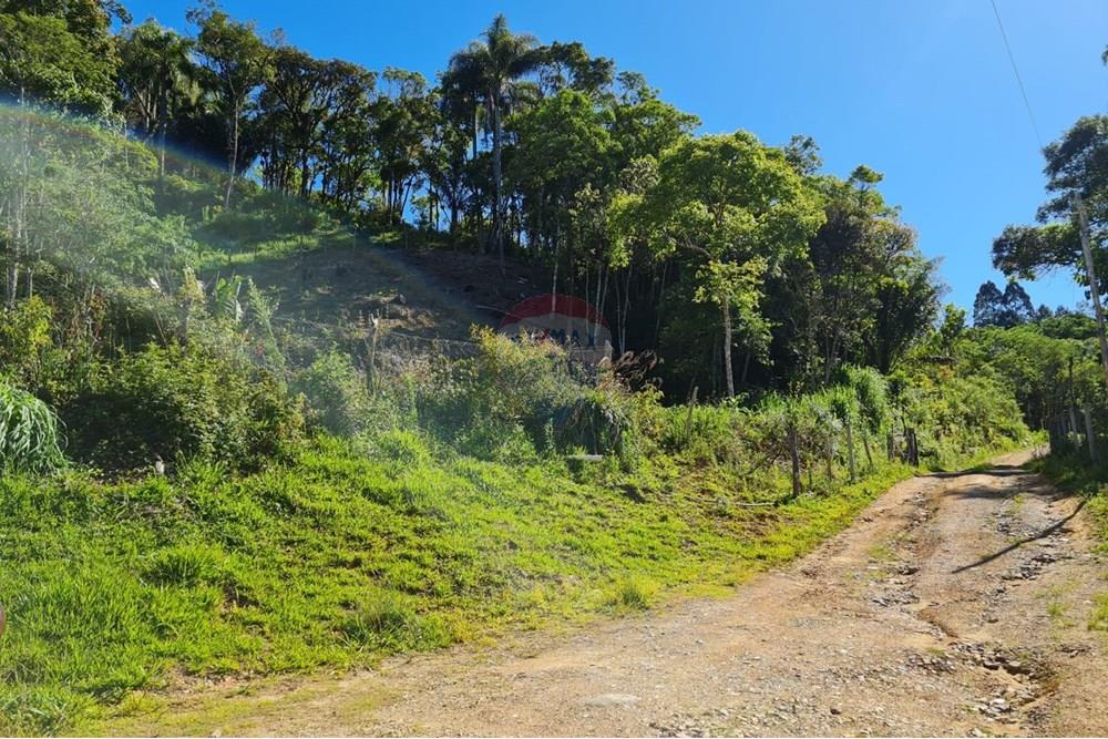 Chácara / Sítio / Fazenda - Venda - Tijucas do Sul , Paraná - ec21208a-3f2f-4518-b90d-19df5cafabb1.jpeg - 560391051-20