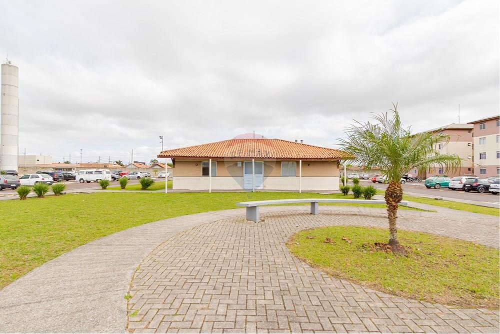 Apartamento - Venda - São José dos Pinhais , Paraná - IMG_2403.jpg - 560411027-33