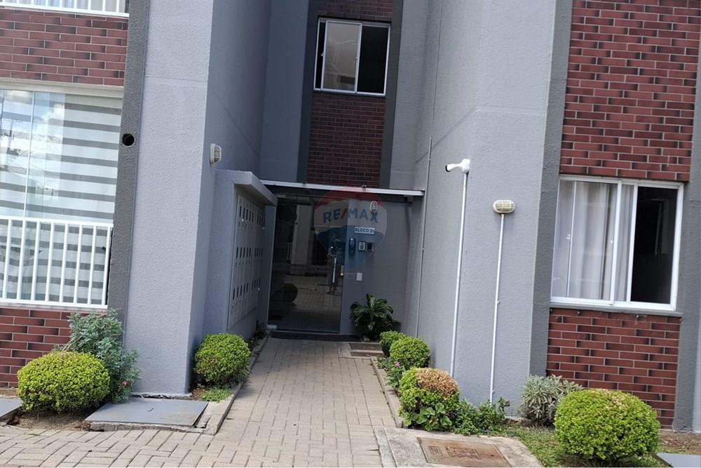 Apartamento - Alugar - São José dos Pinhais , Paraná - WhatsApp Image 2026-03-14 at 21.16.45.jpeg - 560441028-32