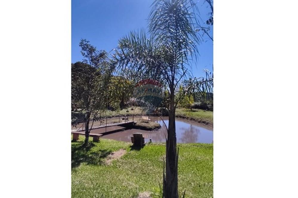 Chácara / Sítio / Fazenda - Venda - São José dos Pinhais , Paraná - 13.jpeg - 560331080-8