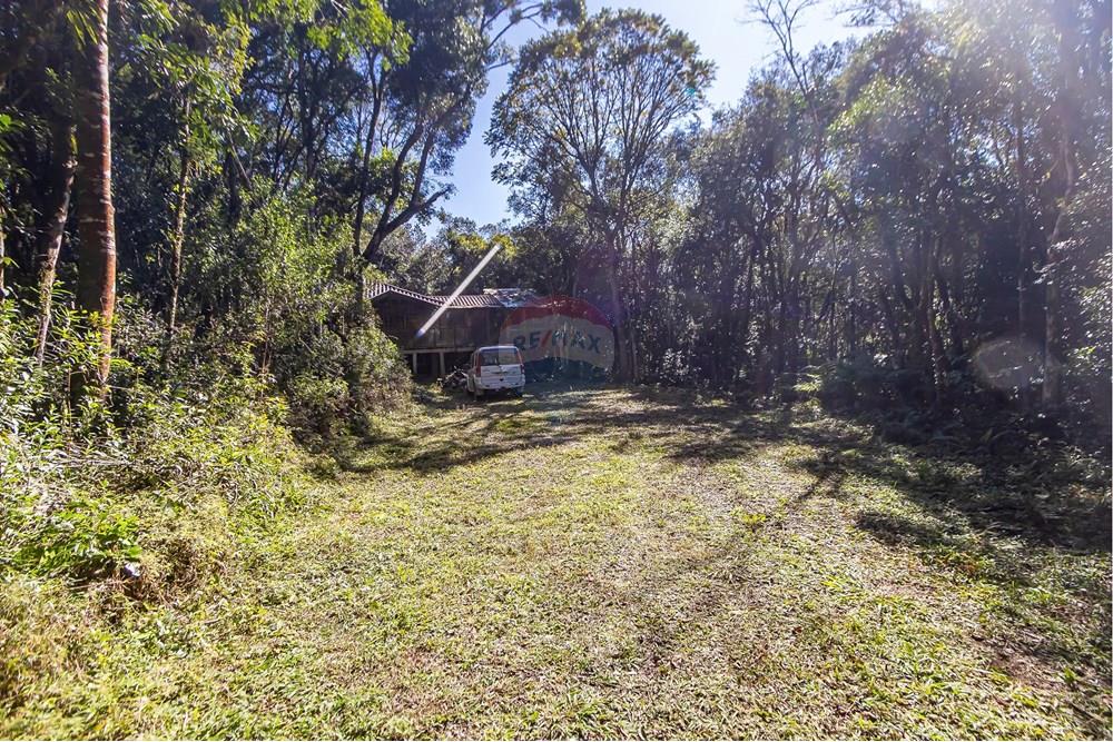 Chácara / Sítio / Fazenda - Venda - Piraquara , Paraná - IMG_3640_1.jpg - 560431012-39