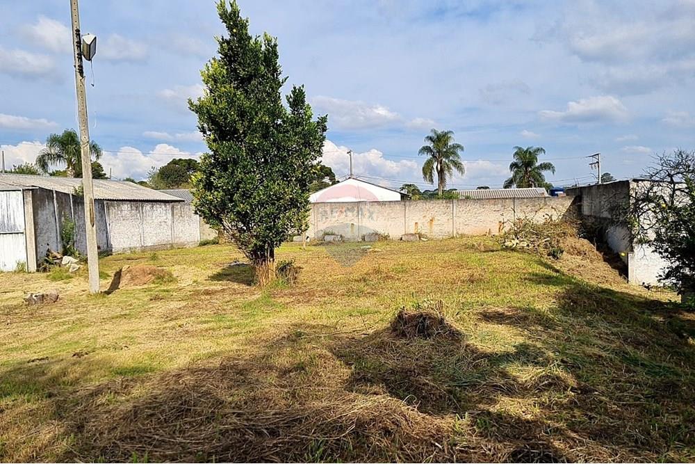 Terreno - Venda - São José dos Pinhais , Paraná - e93001f4-7794-47eb-8e40-e253d7529609.jpeg - 560391051-19