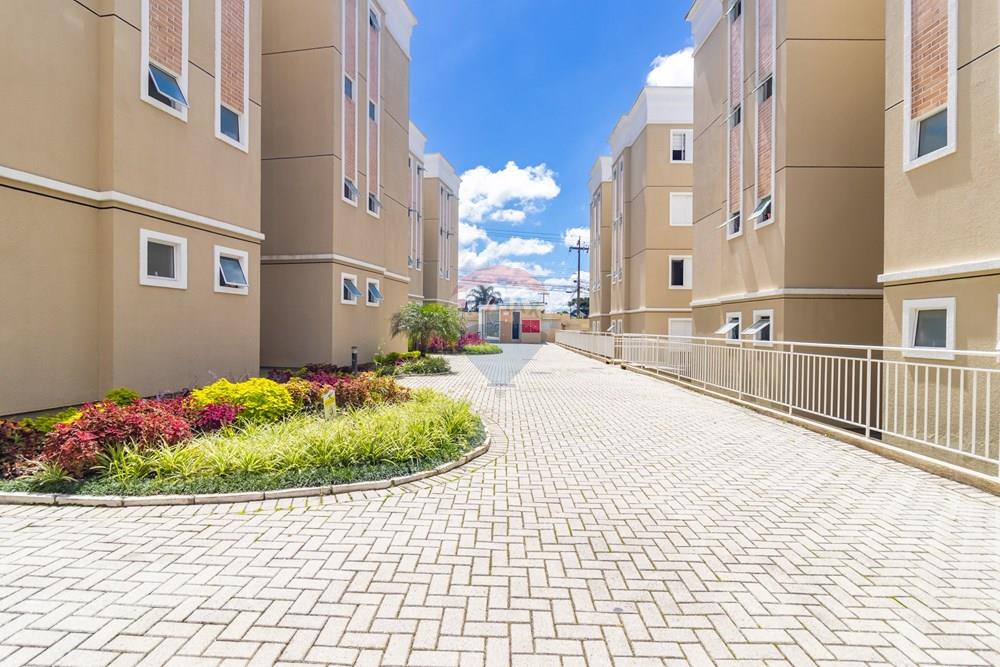 Apartamento - Alugar - Curitiba , Paraná - IMG_7851.jpg - 560331069-90