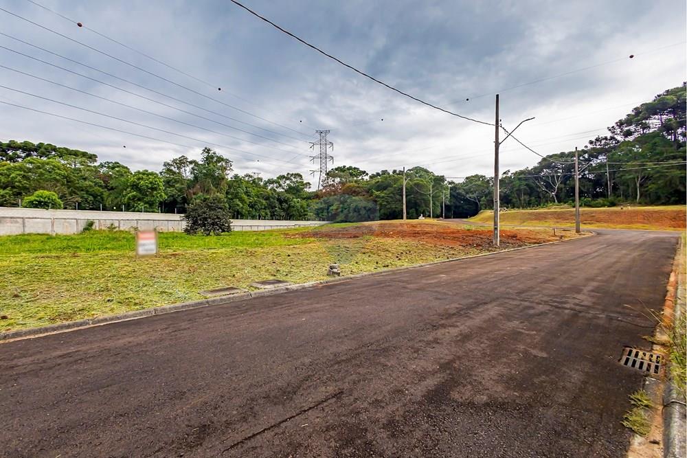 Terreno - Venda - Curitiba , Paraná - sheep - IMG_2562_1.jpg - 560341101-21