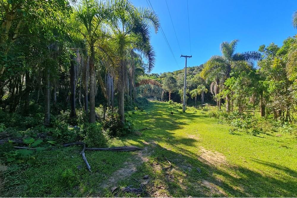 Chácara / Sítio / Fazenda - Venda - Tijucas do Sul , Paraná - 77ac2261-9f77-4131-93e0-bb368a7ebec9.jpeg - 560391051-20