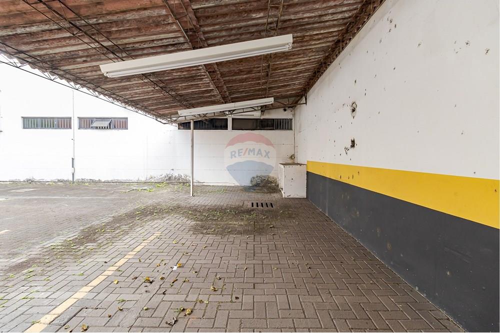 Terreno - Venda - Curitiba , Paraná - IMG_5100.jpg - 560321058-111