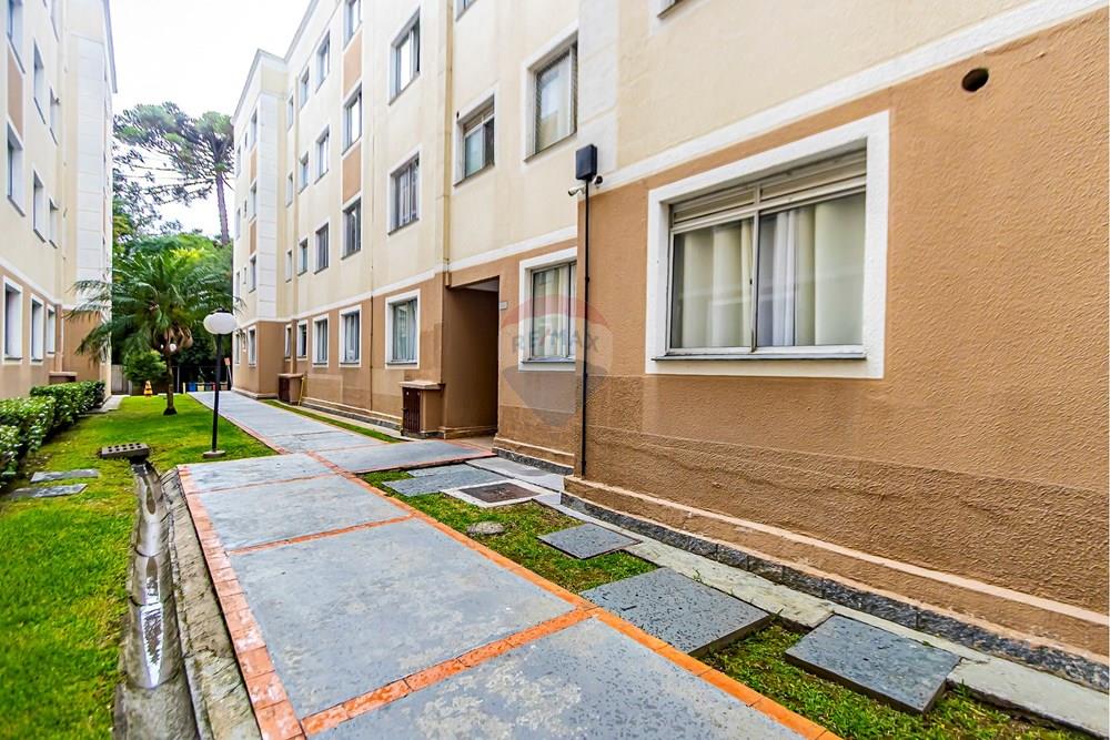 Apartamento - Venda - São José dos Pinhais , Paraná - Fotografia Sheep House - IMG_0244_1 (1).jpg - 560481004-32