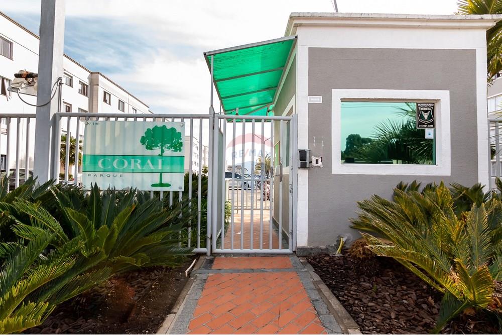 Apartamento - Alugar - São José dos Pinhais , Paraná - IMG_2149.jpg - 560411055-23