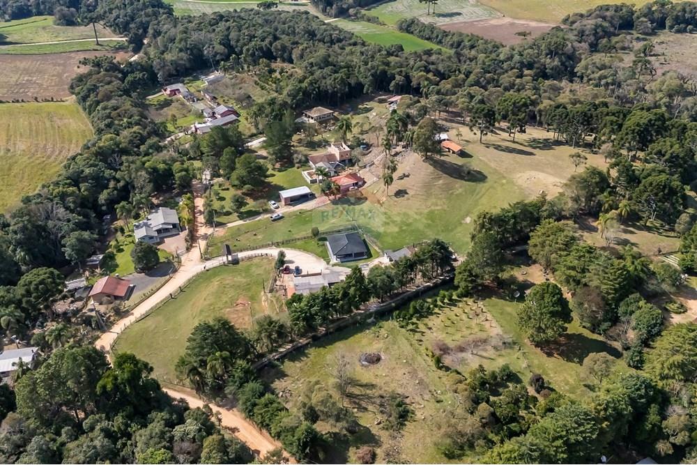 Chácara / Sítio / Fazenda - Venda - Campo Largo , Paraná - F (17).jpg - 560351150-1