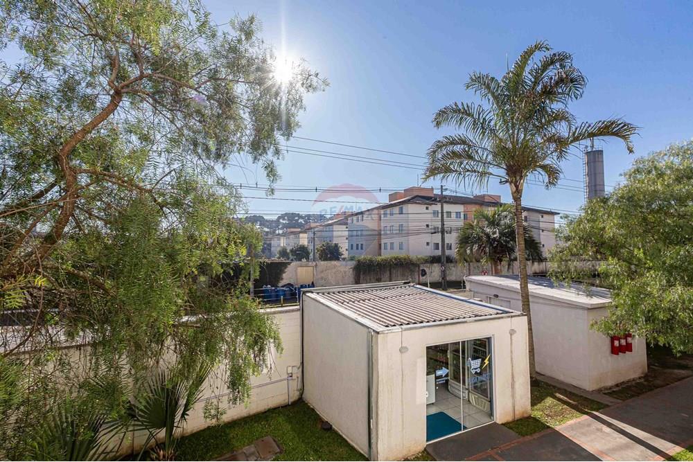 Apartamento - Venda - São José dos Pinhais , Paraná - _MG_7626.jpg - 560311008-63