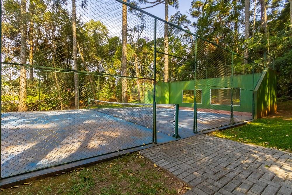 Terreno - Venda - Curitiba , Paraná - IMG_2499.JPG - 560341101-21